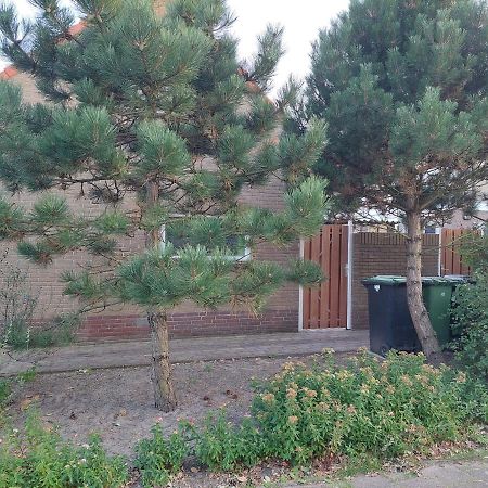 Zomerhuis Simoons Egmond aan Zee Exterior photo