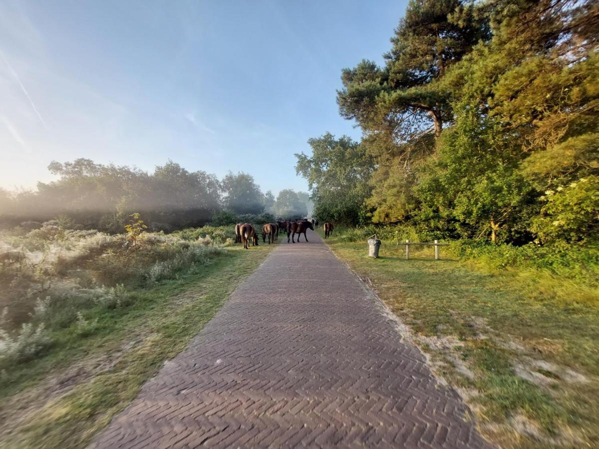 Zomerhuis Simoons Egmond aan Zee Exterior photo